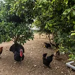 Vivenda Esgravina
